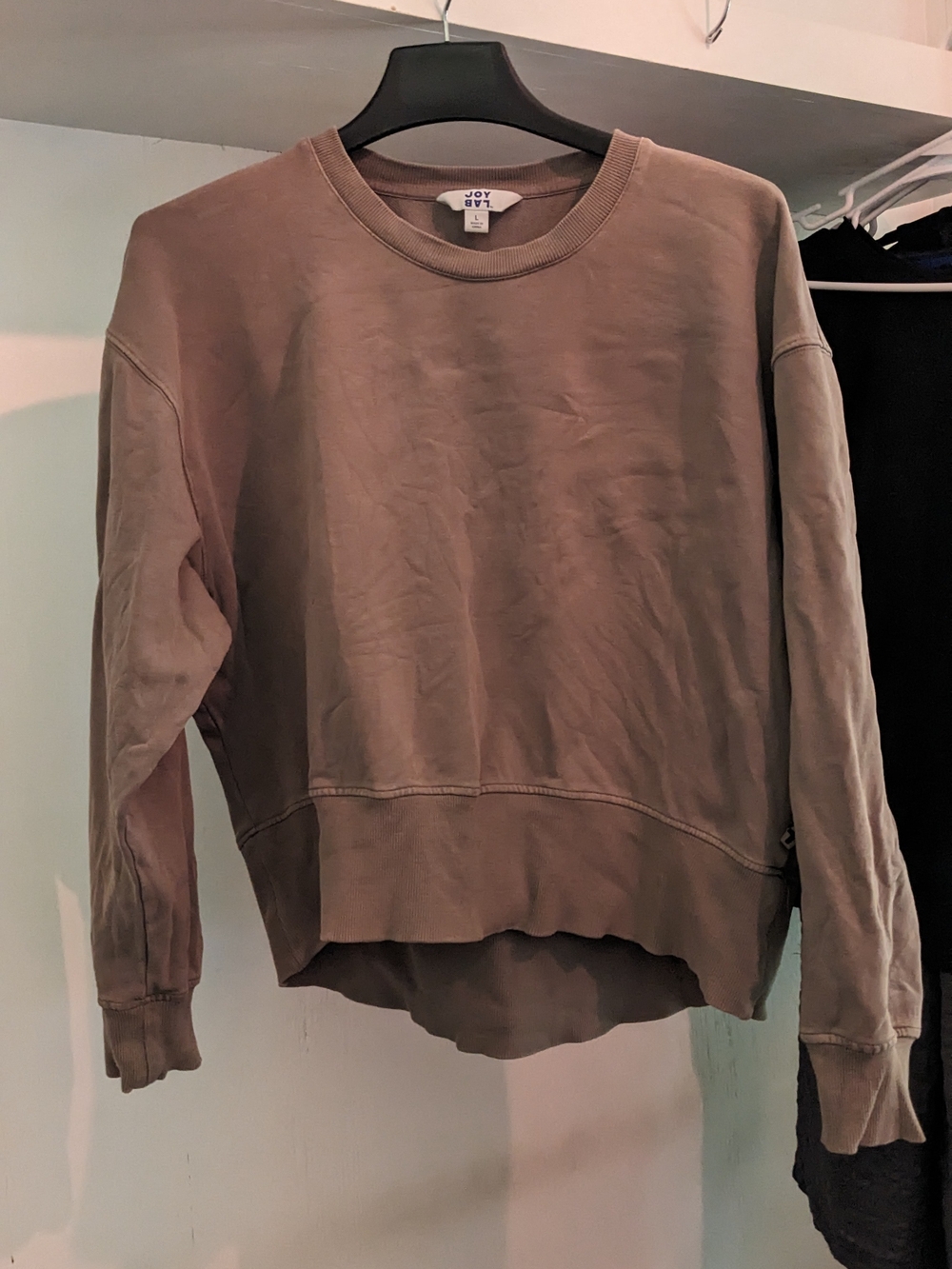 JoyLab Crewneck Sweatshirt in Taupe Mauve
